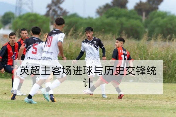 LPL季后赛首发名单与替补英雄池统计
